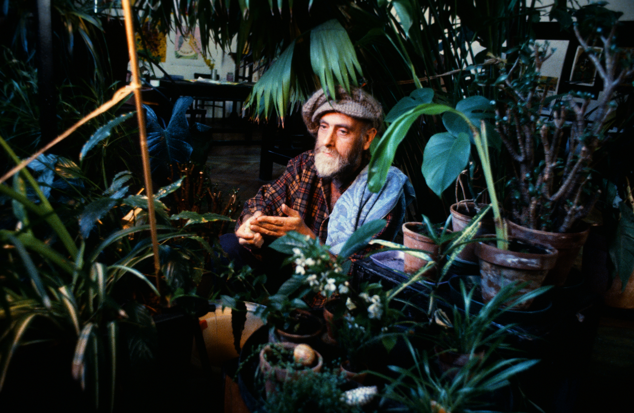 Friedensreich Hundertwassers Meisterklasse an der Wiener Ak. d. Bild. Kuns