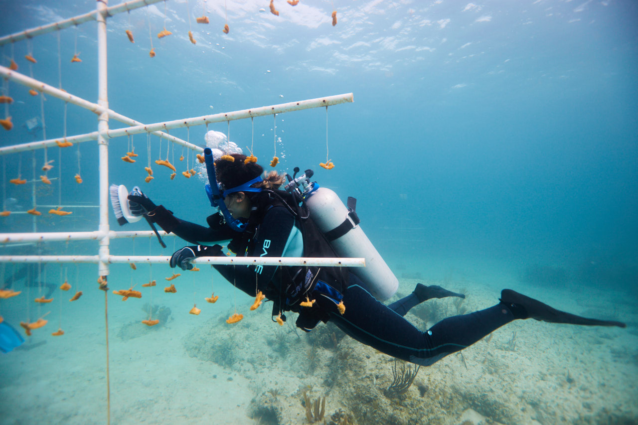 PADI AWARE Foundation c PADI 1