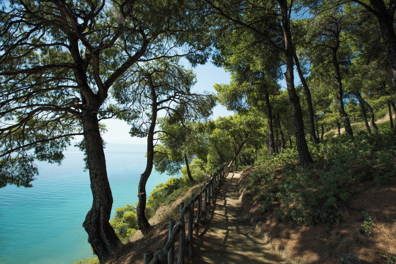 Sani Resort Forest