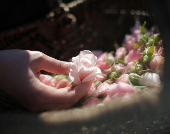 ©Yossef Balti for Parfums Christian Dior 3