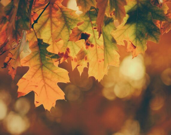 timothy eberly yuiJO6bvHi4 unsplash