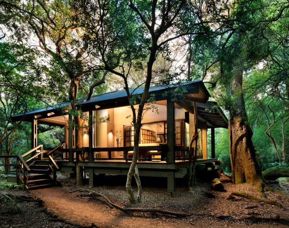 South Africa Phinda Forest Lodge Room Suite exterior view