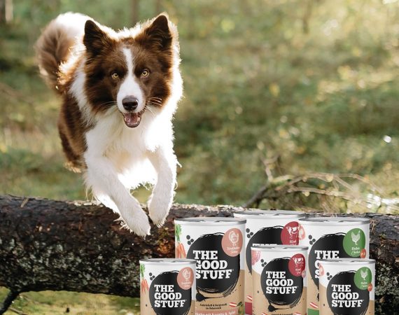 THE GOODSTUFF Nassfutter 02