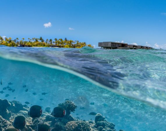 patina maldives house reef 1