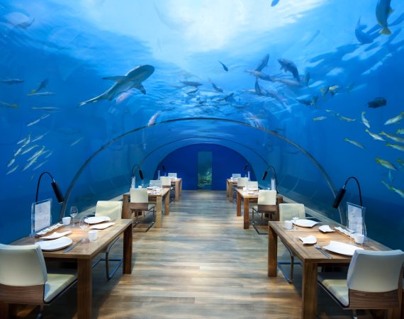 Conrad Maldvies Ithaa Restaurant c Conrad Maldives