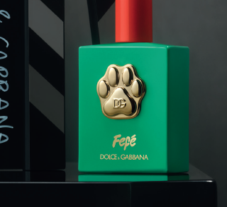 Bildschirmfoto 2024 12 10 um 12.21.52