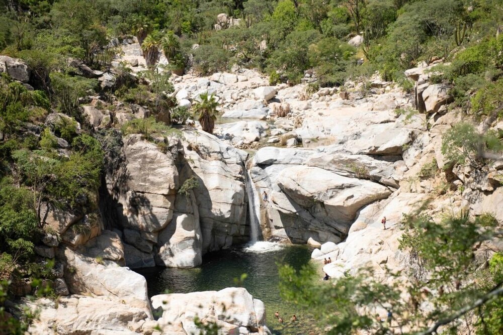 Los Cabos 53 1024x683 1