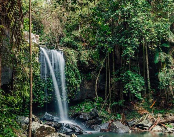 RESCurtis Falls at Tamborine Mountain credit Tourism and Events Queensland