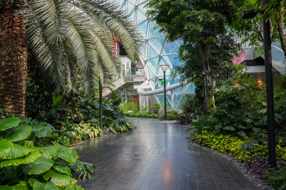 The Garden 1 1024x683 1