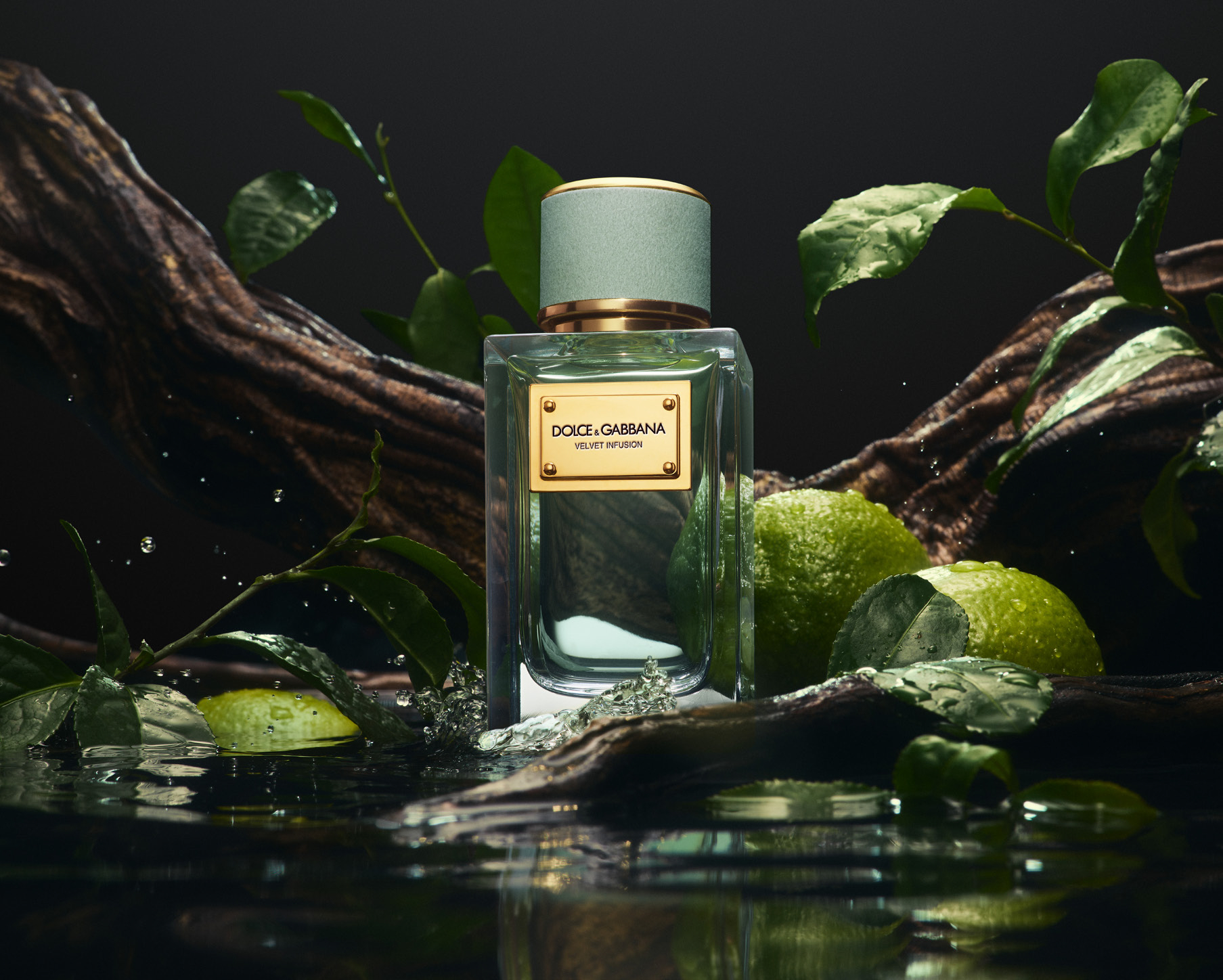 VELVET COLLECTION November2024 Pressetext 1