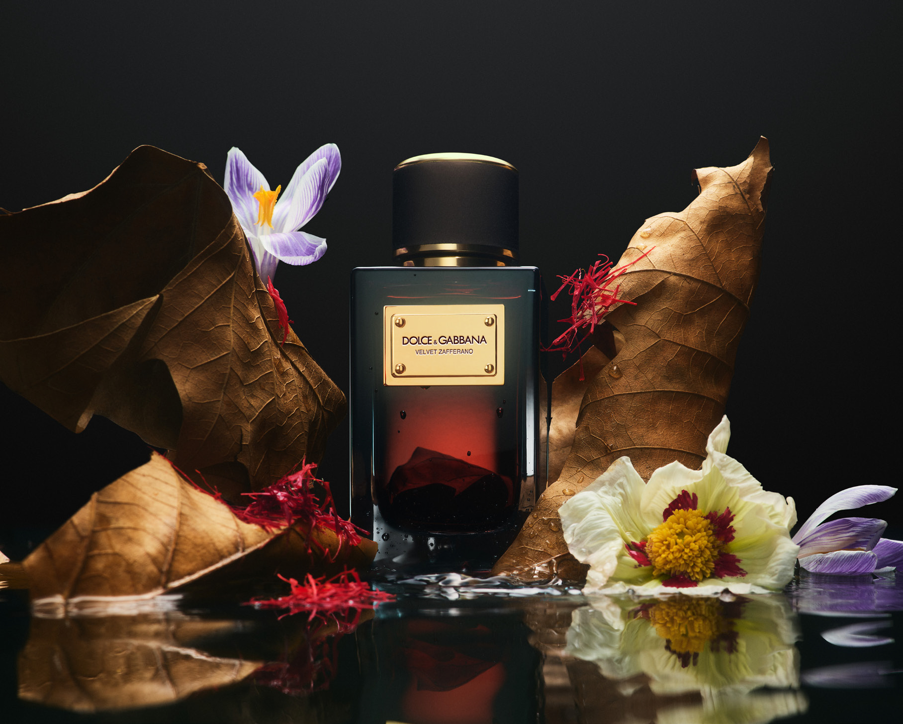 VELVET COLLECTION November2024 Pressetext 2