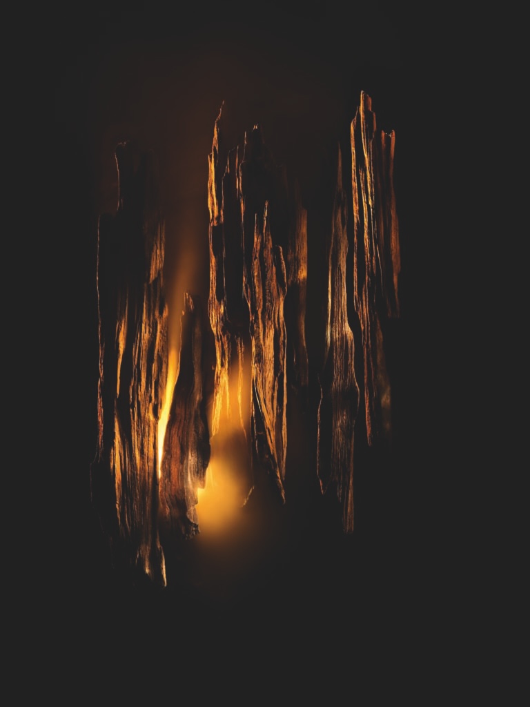 F937 DH25 P10B INGREDIENT BOIS FUMEE 05 MD F39 768x1024 1