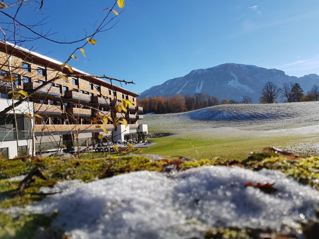 20171115 094128 1024x768 1