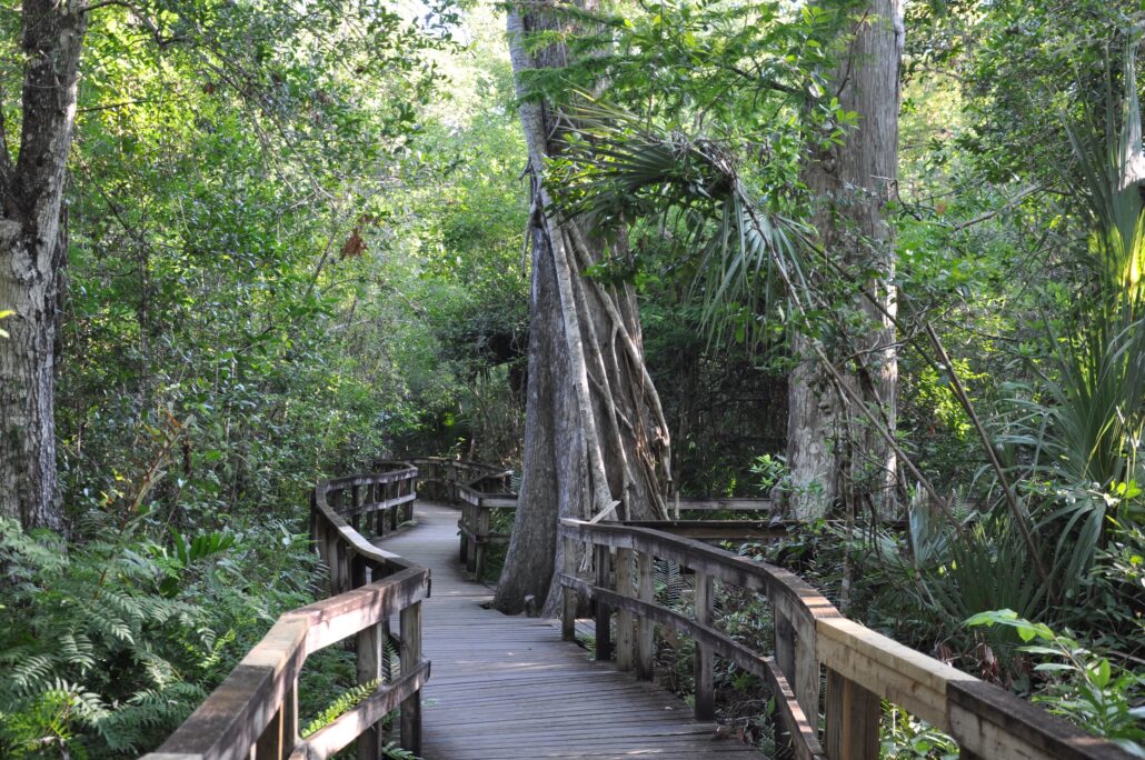Big Cypress National Preserve ©Naples, Marco Island Everglades CVB
