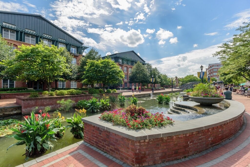 Carroll Creek Park summer Frederick flowers c C. Kurt Holter 1024x684 1