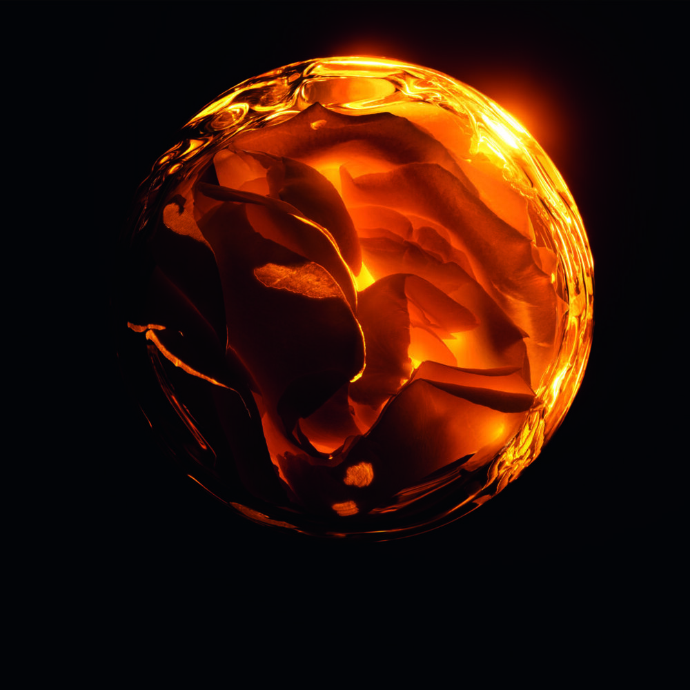 S600 PRESTIGE LE NECTAR 25 P11A ROSAPEPTIDE L4 F39 1024x1024 1