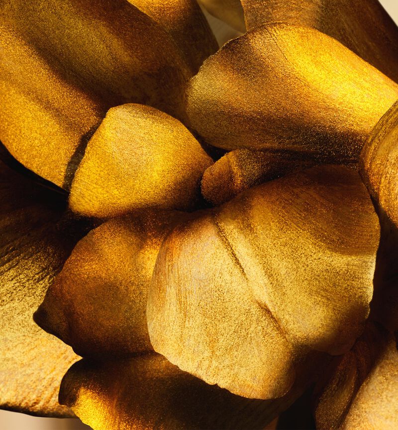 Y3997179 C399700474 E03 GHC