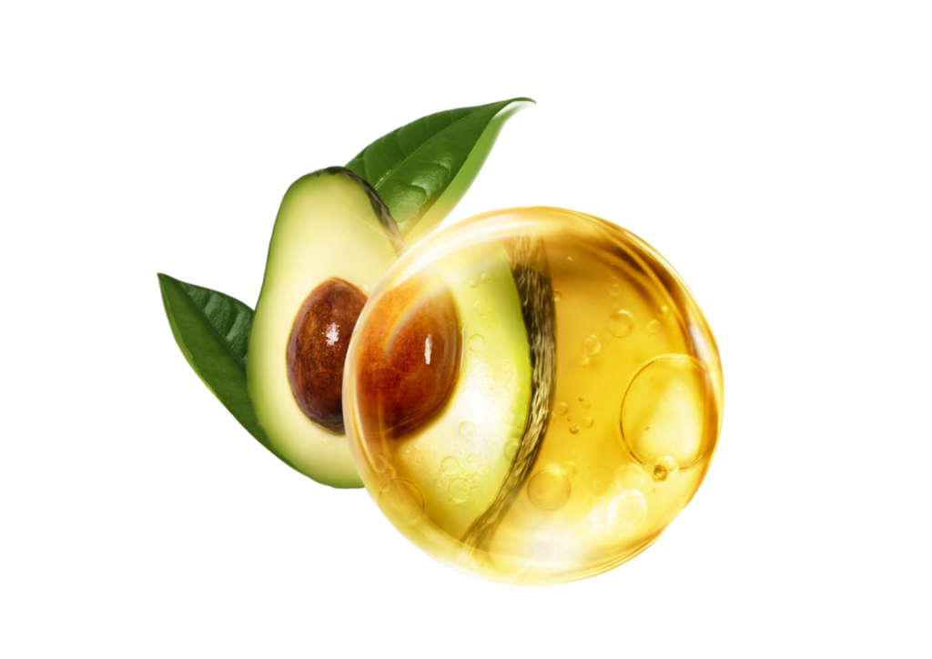 r garnier ws avocado freisteller 1024x724 1