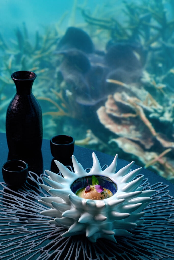 Scallop Ceviche Amuse Bouche paired with Sake c Niyama Private Islands Maldives 683x1024 1