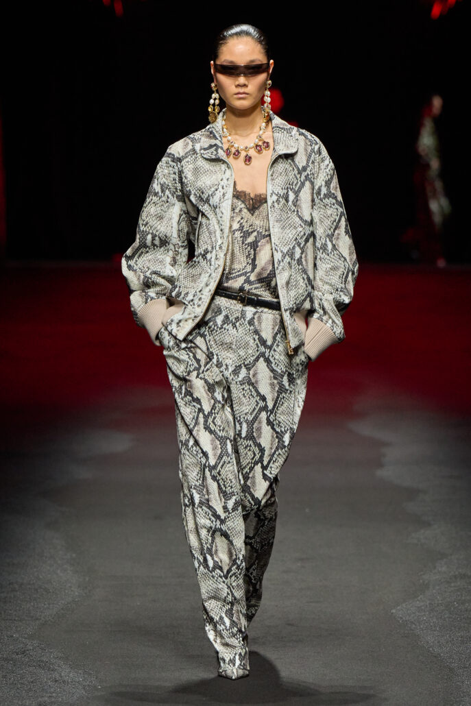 ROBERTO CAVALLI 2X3 037