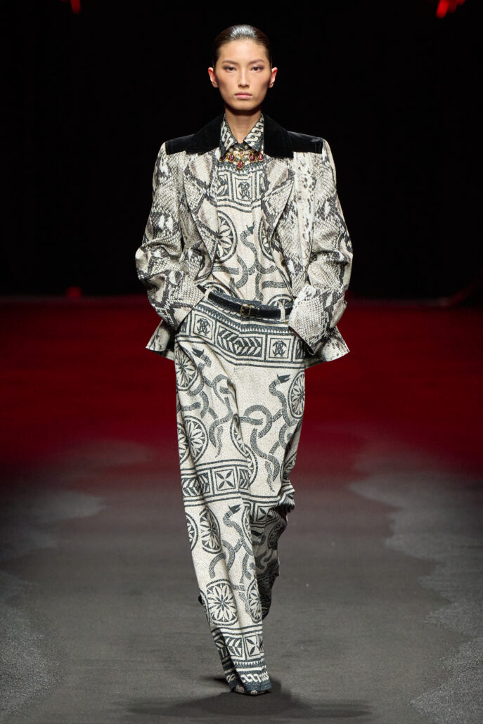 ROBERTO CAVALLI 2X3 039