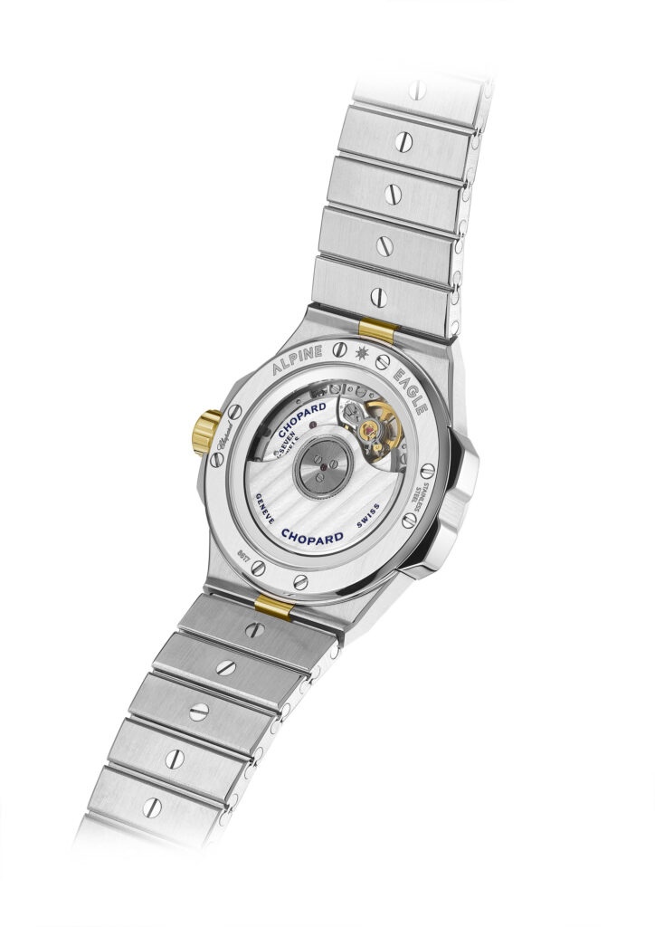 298617 4001 Alpine Eagle 33 2 724x1024 1