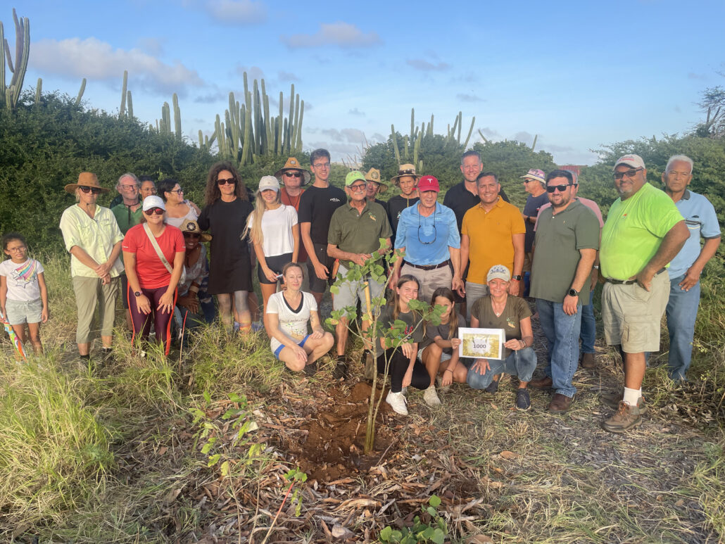 BucutiTara Reforestation The Bucuti Tara GMC Nature Preserve
