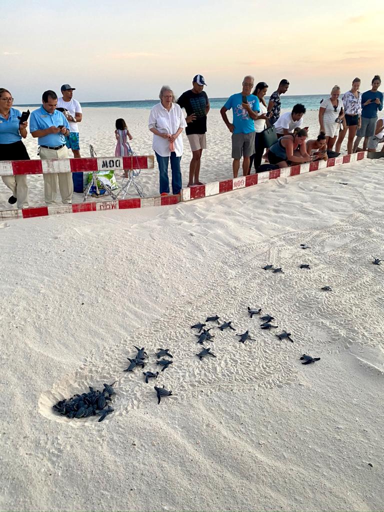 ©Bucuti & Tara Beach Resort