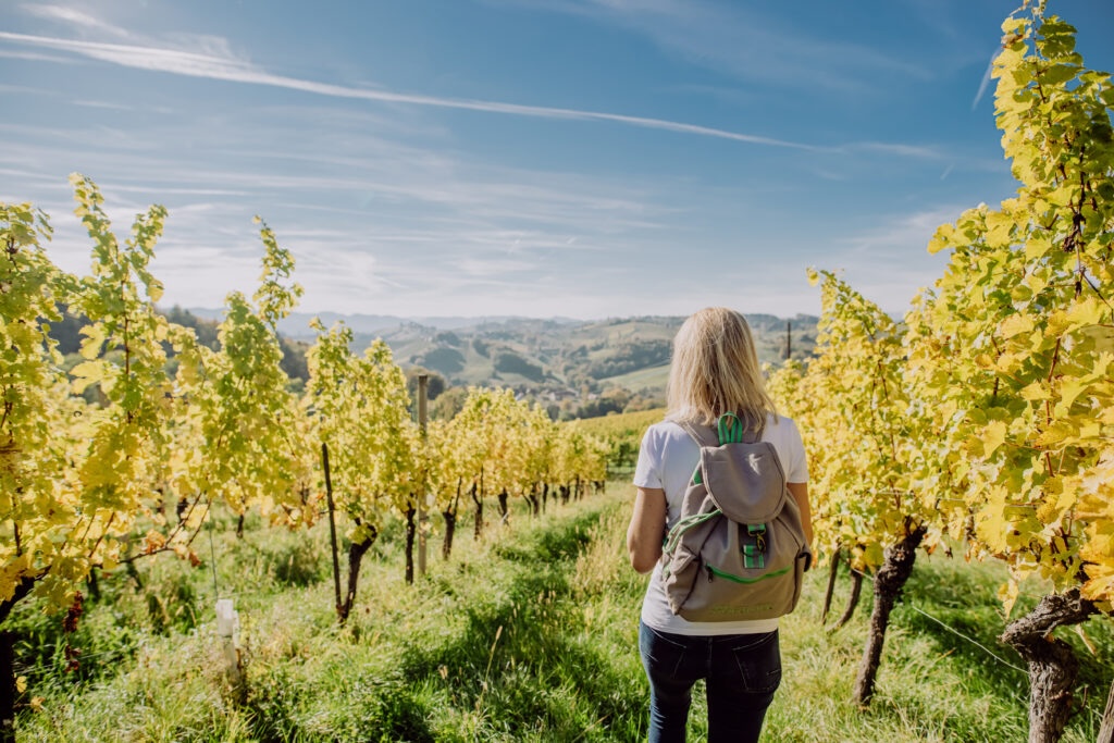 maerchenhafte wanderung durch die weinberge c karin bergmann ratscher landhaus 1024x683 1