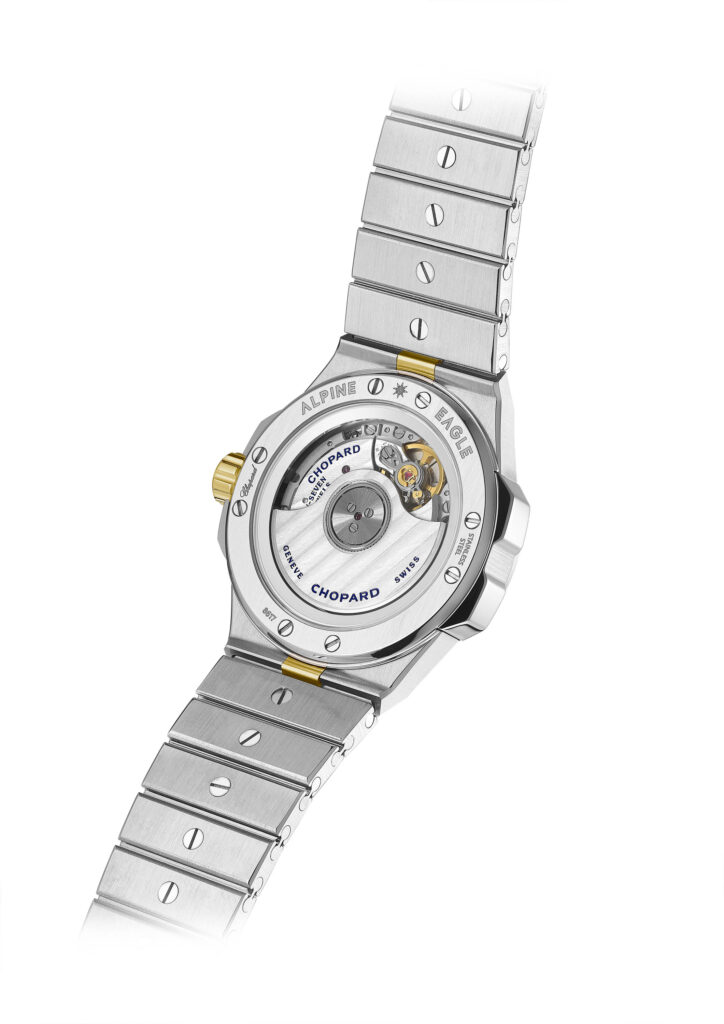 298617 4001 Alpine Eagle 33 2 1 724x1024 1