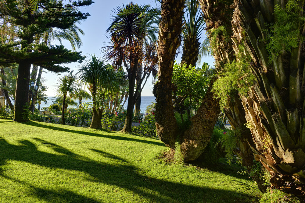 66 Royal Hotel Garden