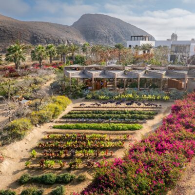 Verantwortungsbewusstes Leitprinzip von Los Cabos