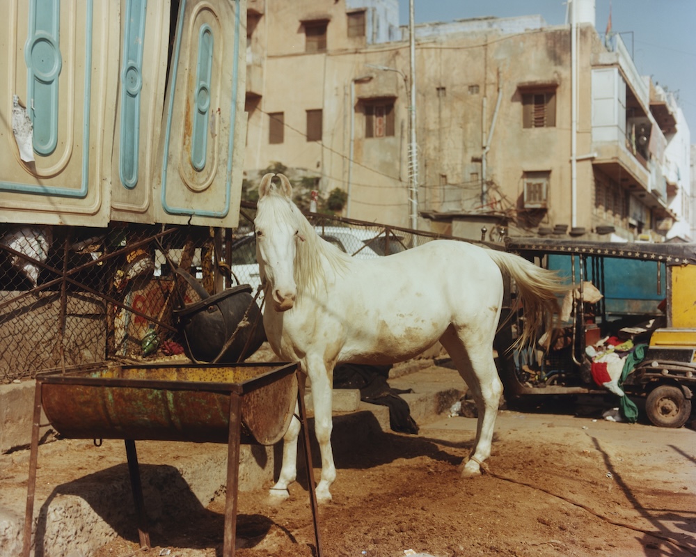 FASHION EYE RAJASTHAN 6