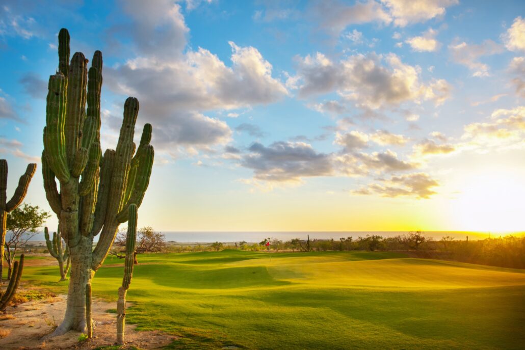 Los Cabos El Cardonal Sunset Copyright Los Cabos Tourism Board