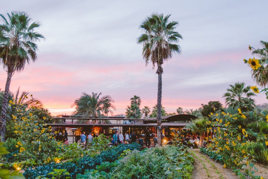 Los Cabos Farm to Table Copyright Los Cabos Tourism Board