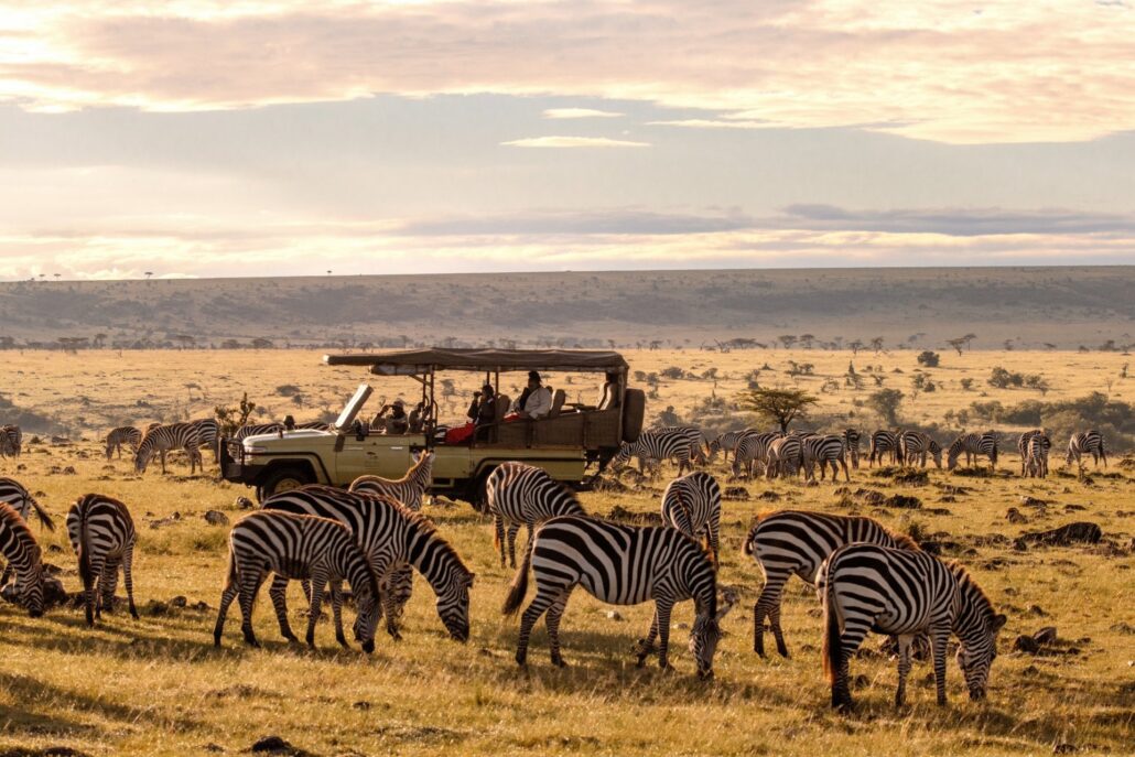 Luxurious Safari Romance Safari Copyright Olare Mara Kempinski Masai Mara