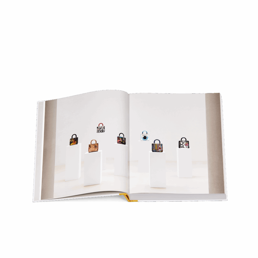 PACKSHOT BOOK DIOR LADY ART 3