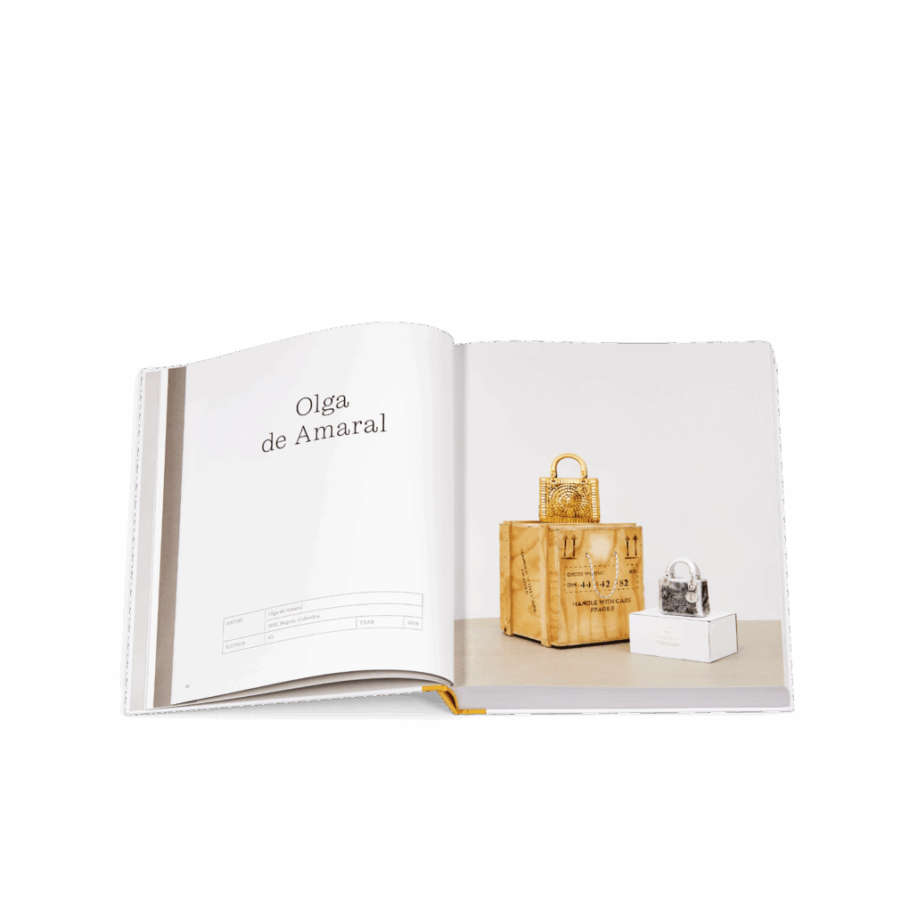 PACKSHOT BOOK DIOR LADY ART 4