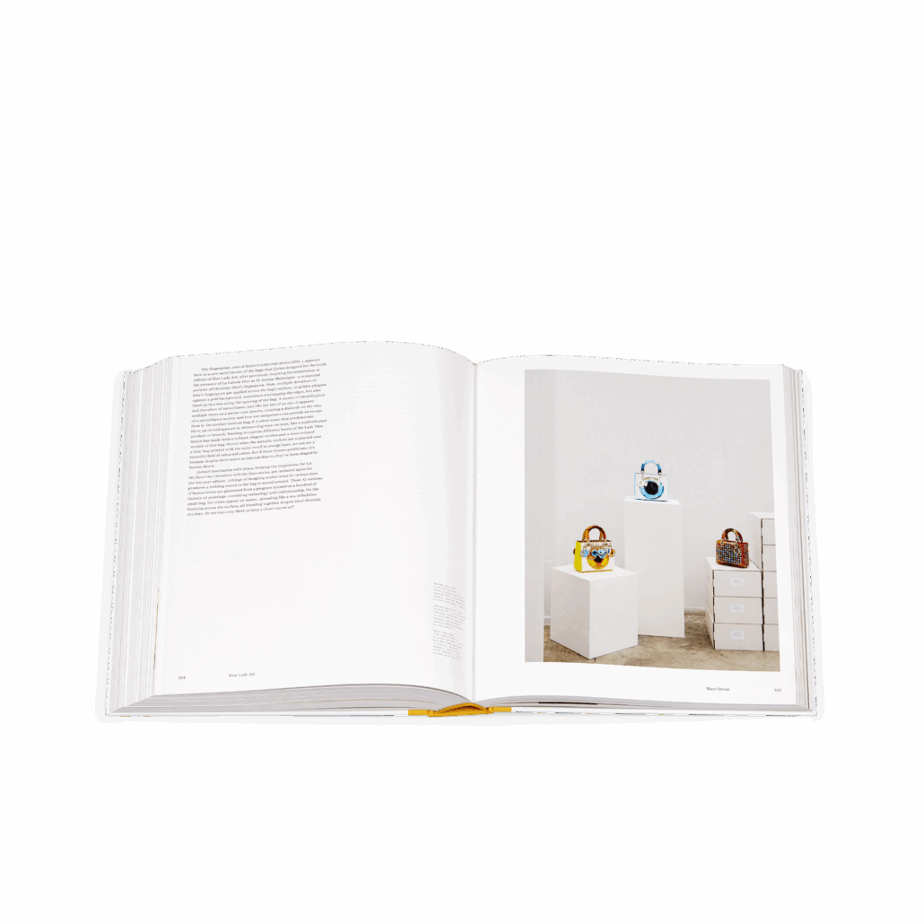 PACKSHOT BOOK DIOR LADY ART 7