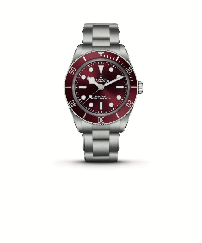 TUDOR BLACK BAY 58 1