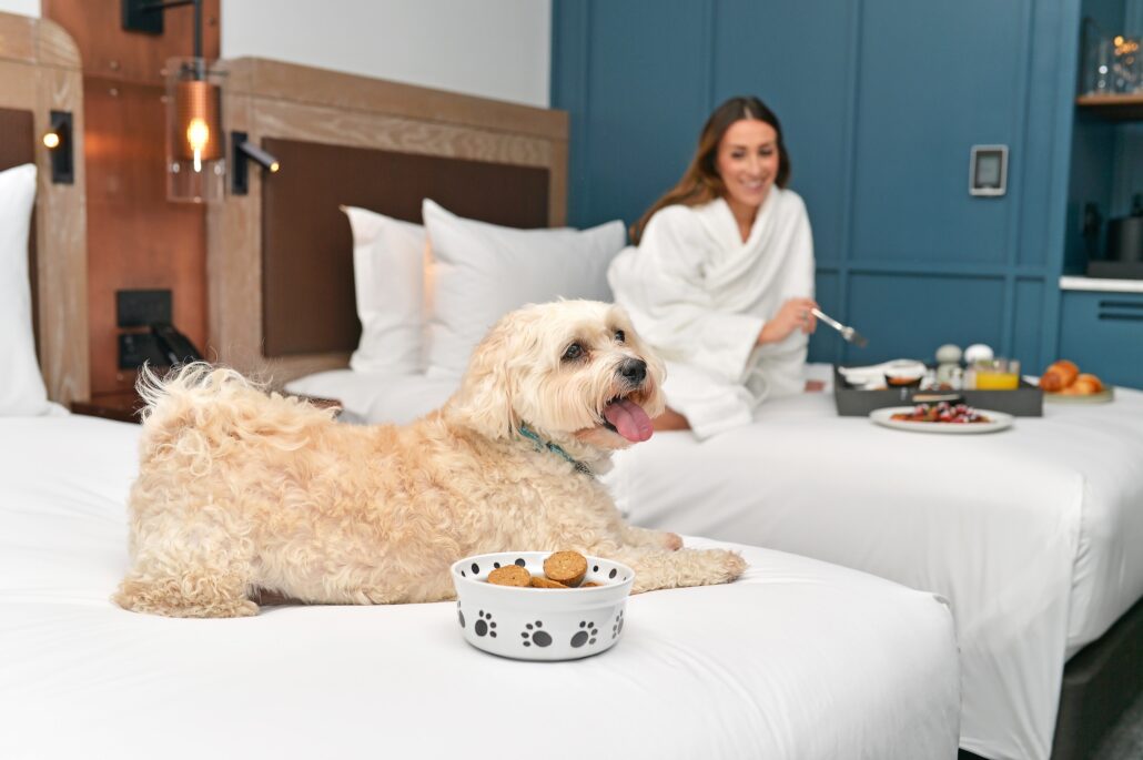 The Gantry London Curio Collection by Hilton