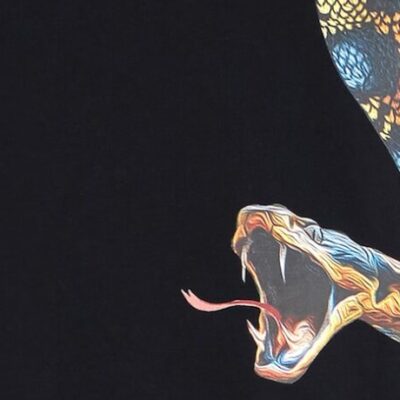 Roberto Cavallis mutige Herren-Resortkollektion 2026