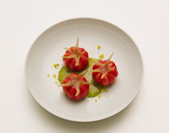 YANNICK ALLENO STILL LIFE © LAORA QUEYRAS 7