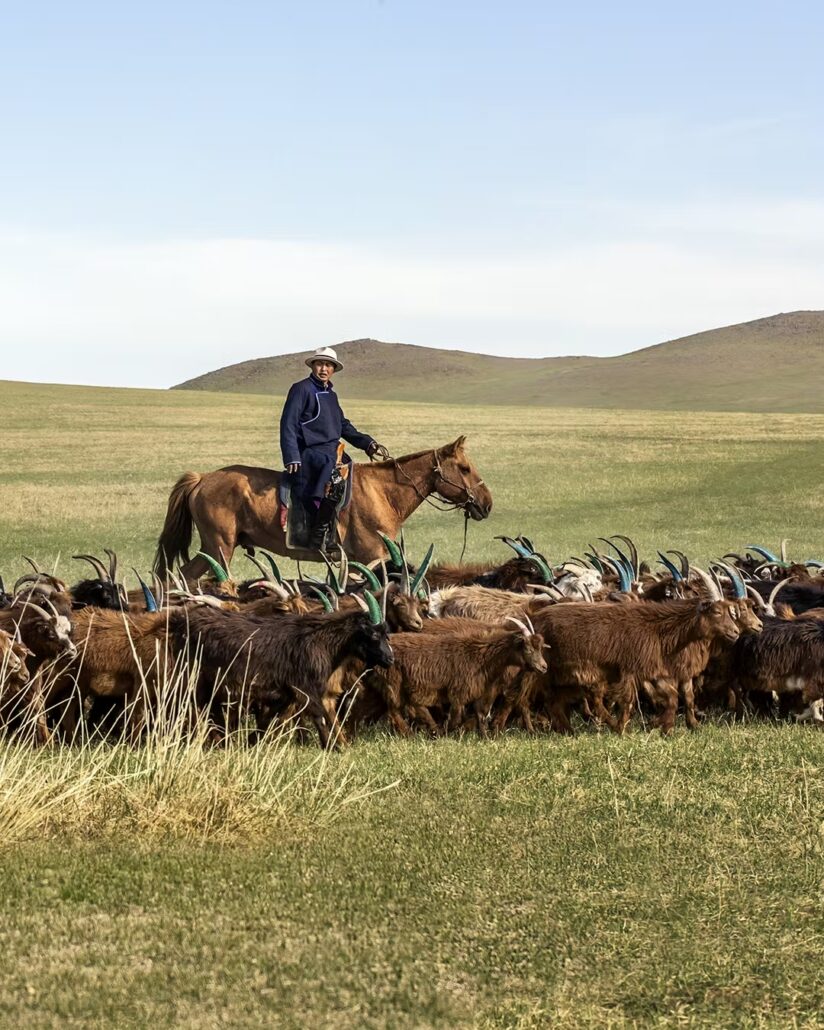 aCxvuydWJ 7kSV4p LOROPIANAMONGOLIA 14052024 05 646 39 4X5 HD