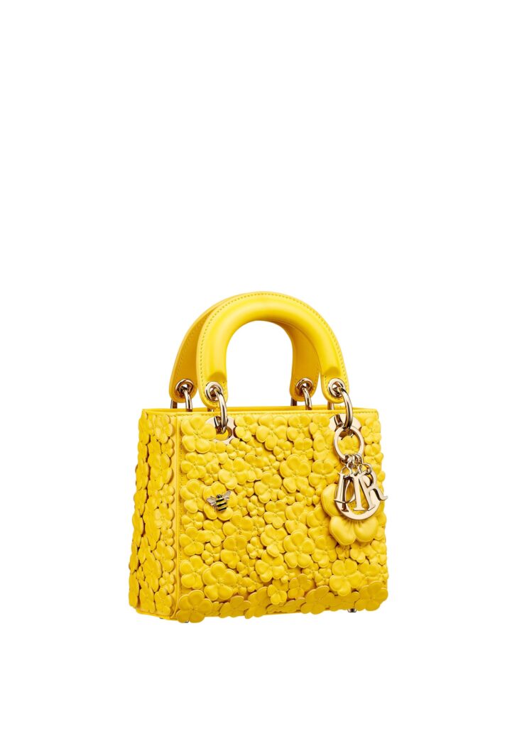 2 DIOR FEMME SS26 DROP0 ACCESS 0000 M0669OGWJM48Y E03