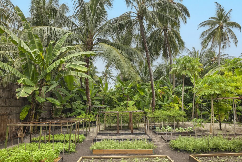 AC HPIM Organic Garden