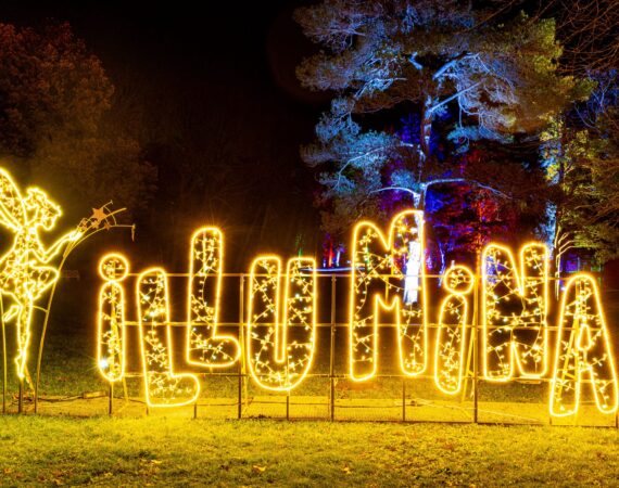 ChristianMikes 8709 scaled 1