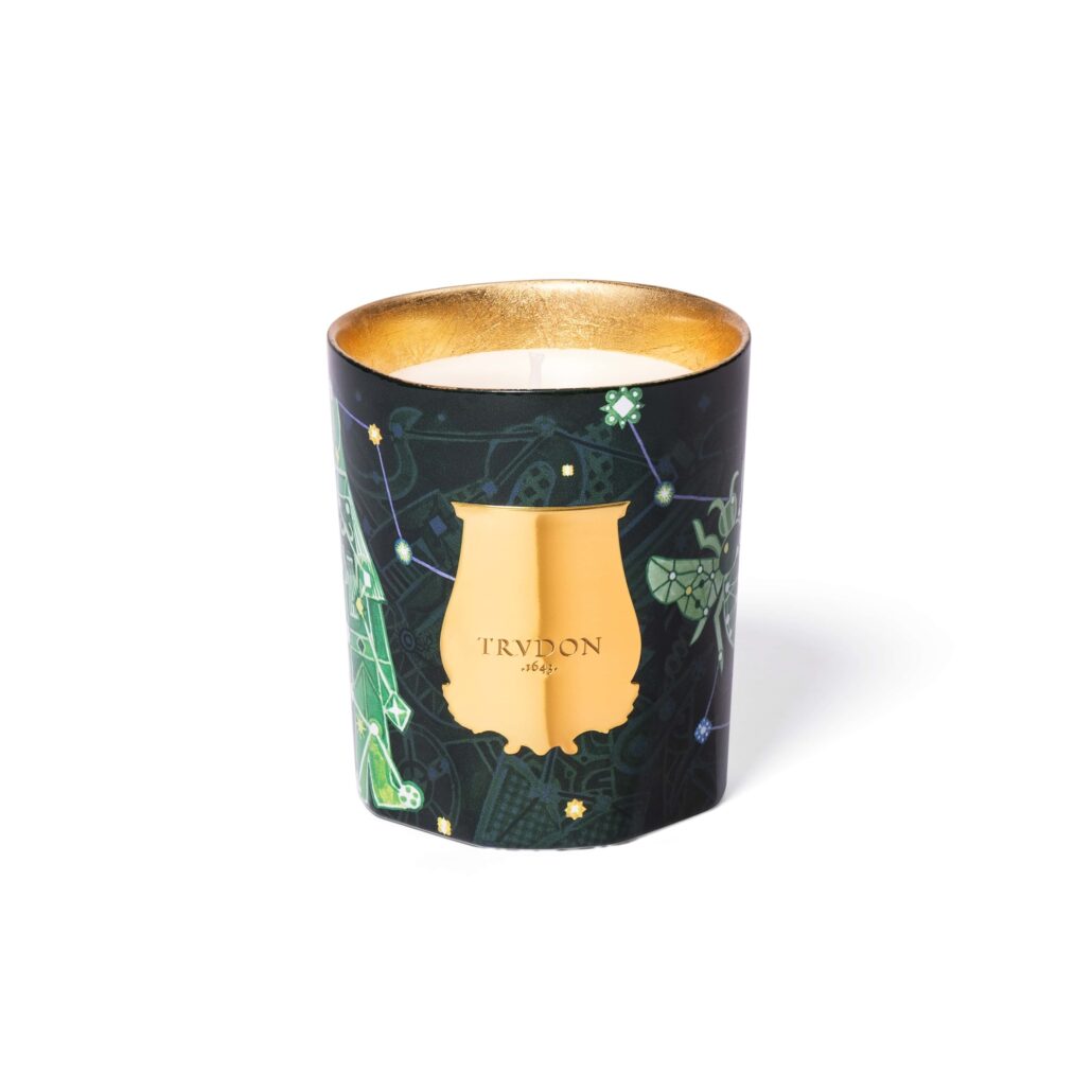 Trudon Holiday Collection 270g FIR PNG