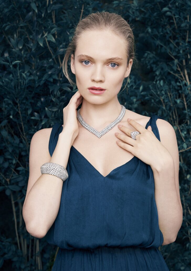 VCA 2047008 6903278 downloadOriginal 1