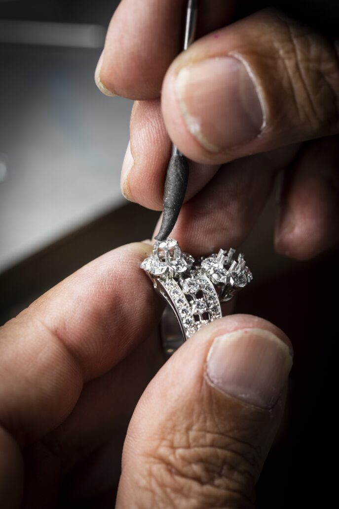 VCA 2403809 17195215 downloadOriginal